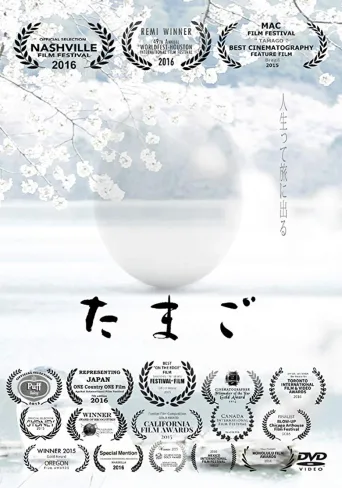 蛋