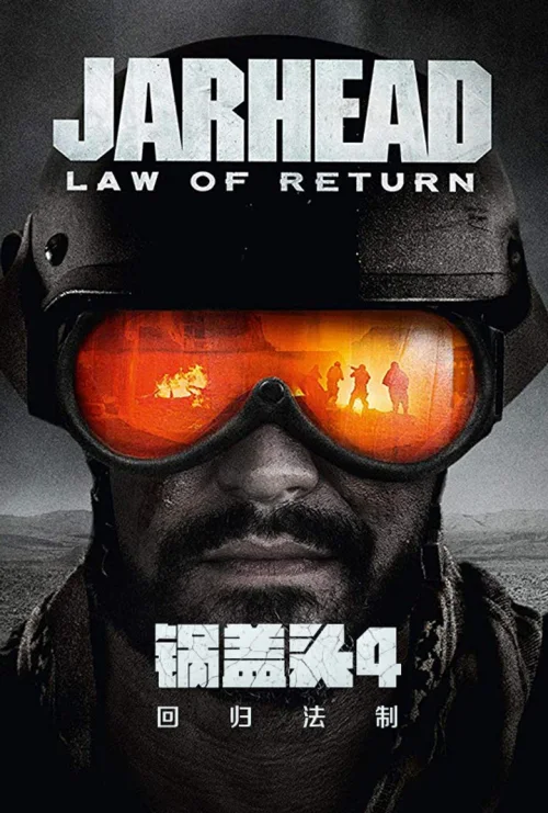锅盖头4：回归法制