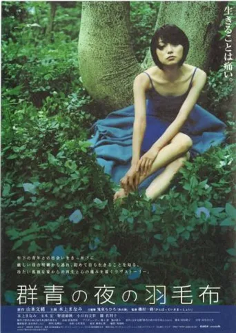 夜晚的蓝色羽毛毯