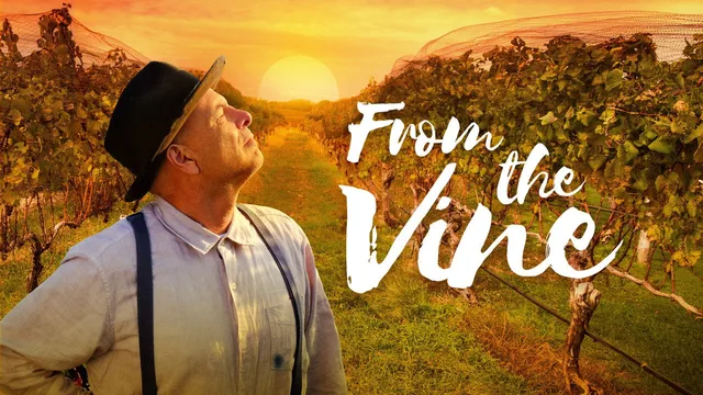 From the Vine 剧照 4