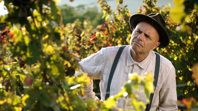 From the Vine 剧照 2