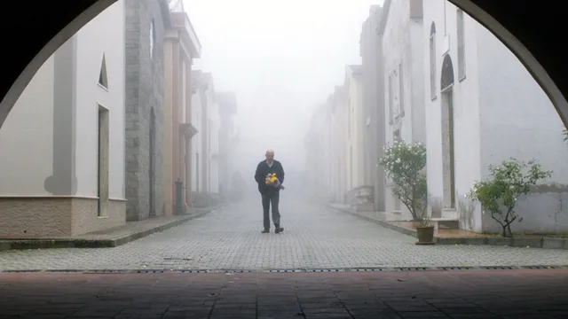 From the Vine 剧照 8