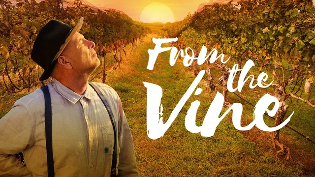 From the Vine 剧照 3