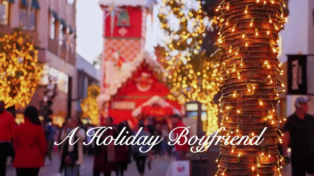 A Holiday Boyfriend 剧照 6