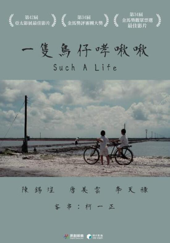 一只鸟仔哮啾啾