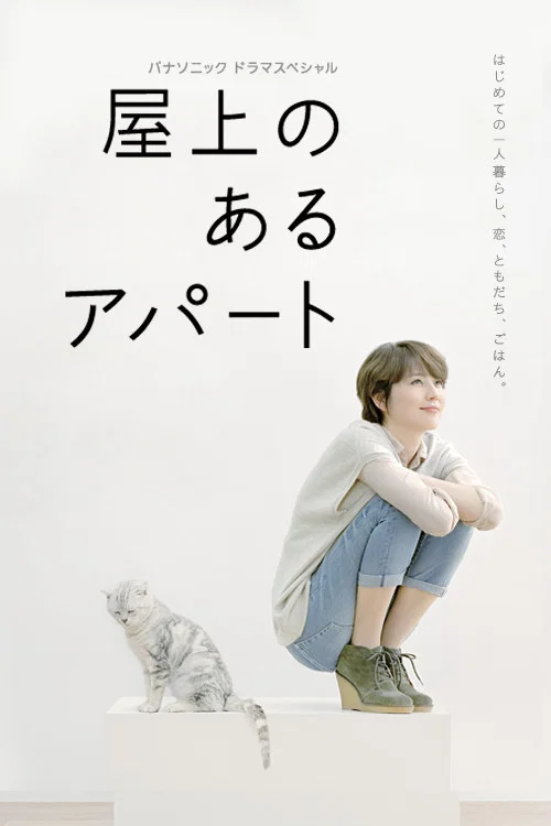 屋顶的公寓