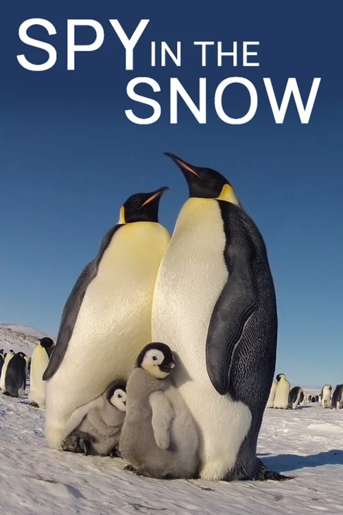 冰雪间谍
