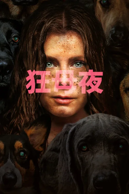 夜母