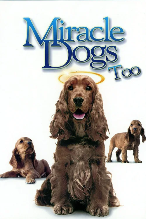 天降神犬2