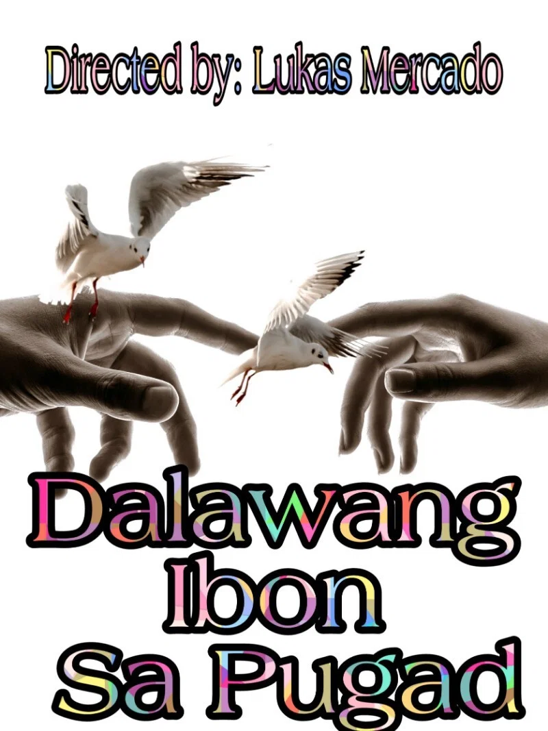 巢中之鸟