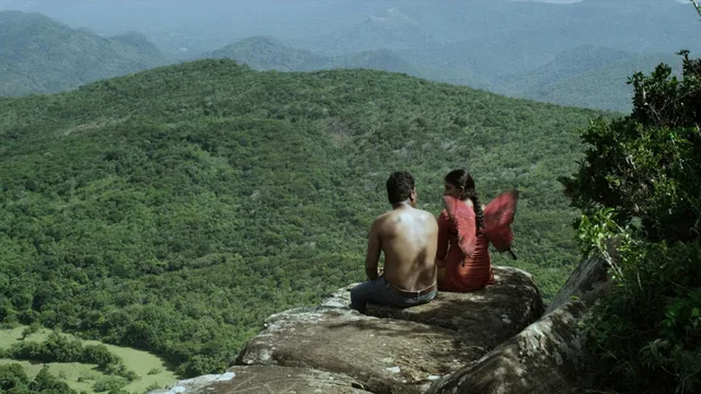 රතු සමනල හීනයක් 剧照 2