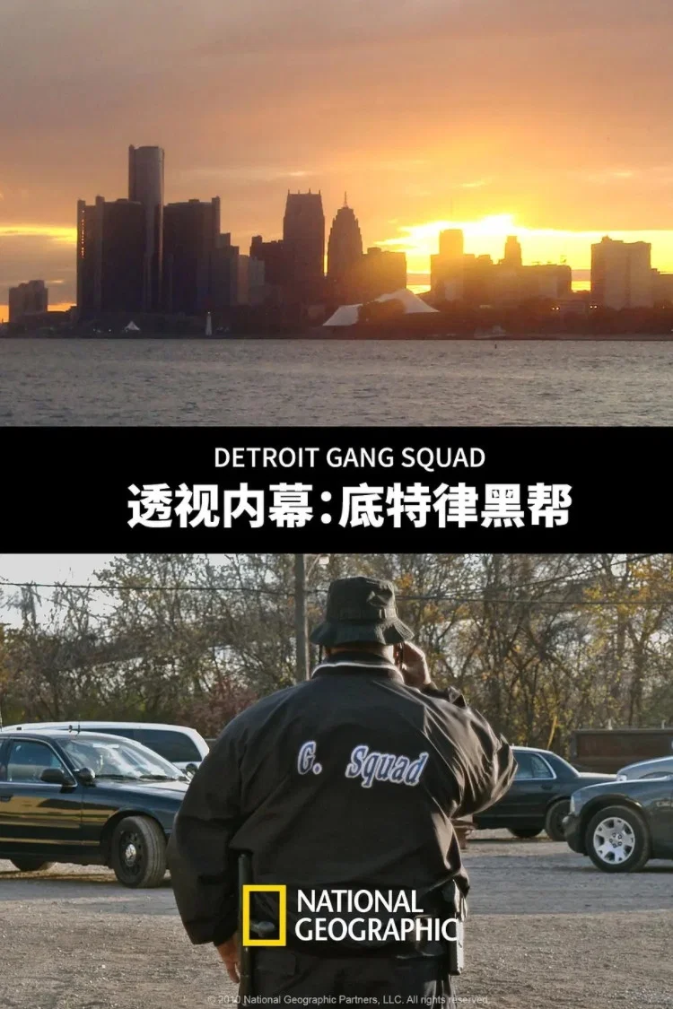 透视内幕：底特律黑帮