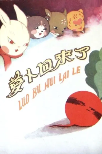 萝卜回来了