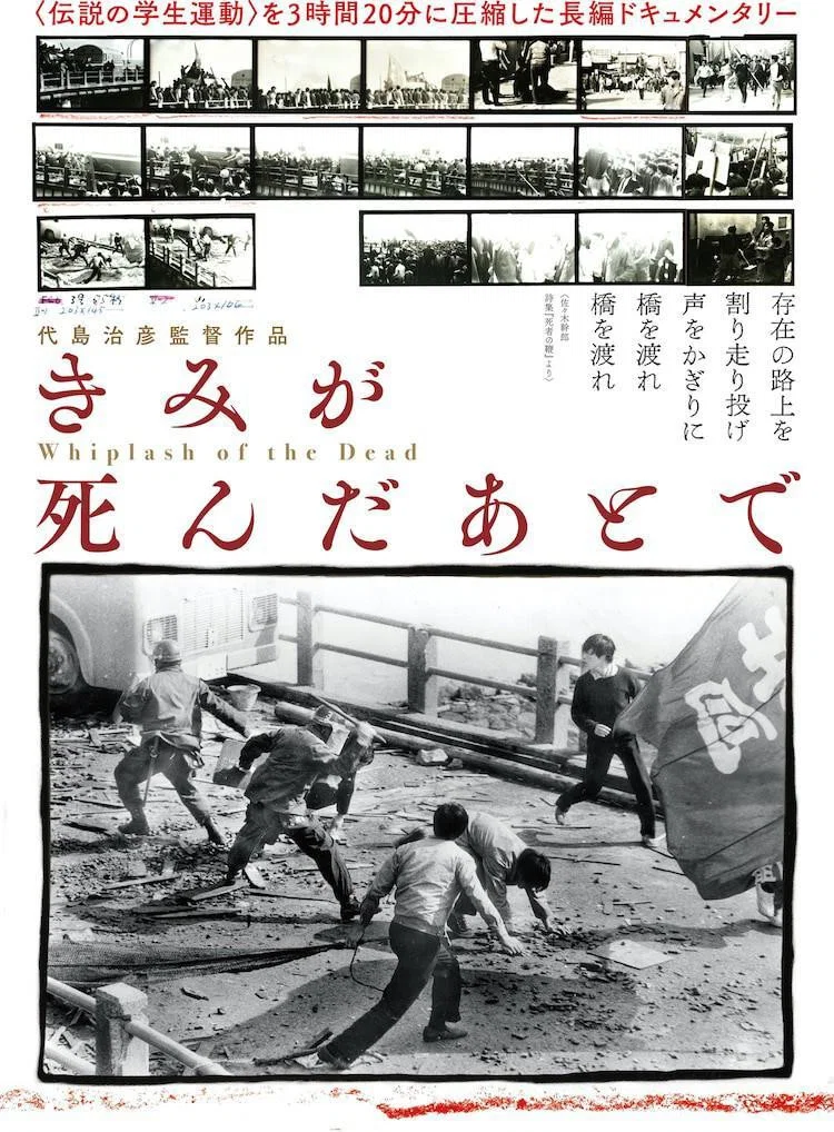 在你死了之后