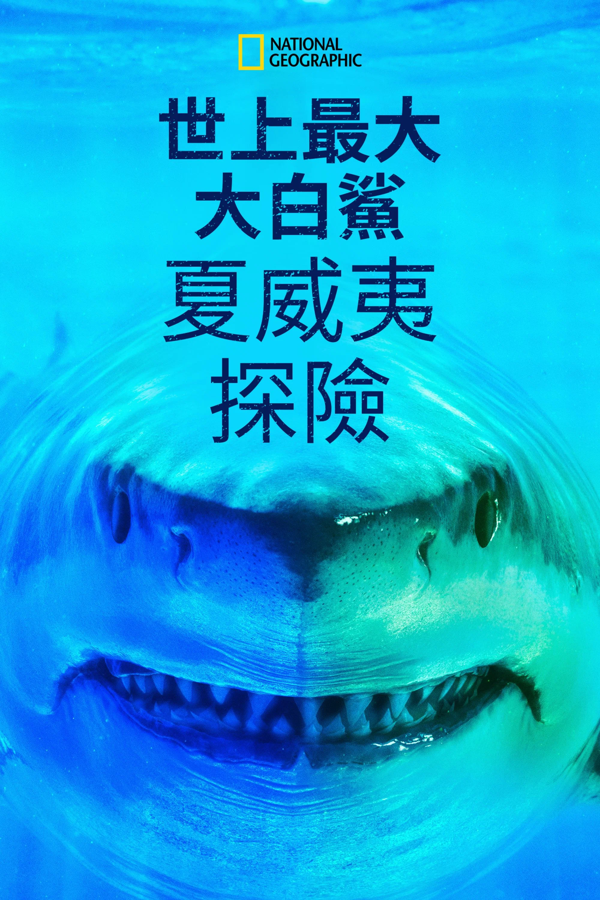 世上最大大白鲨：夏威夷探险