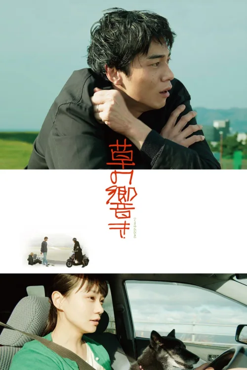 草之韵