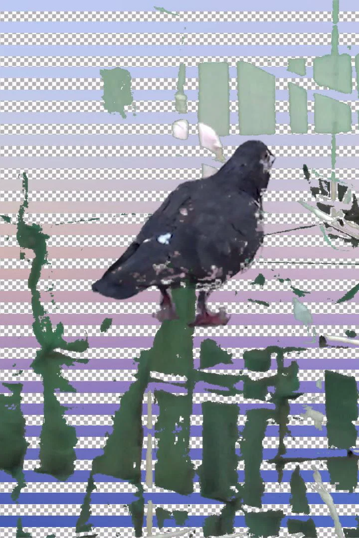 日 '''''''；''''''' 記
