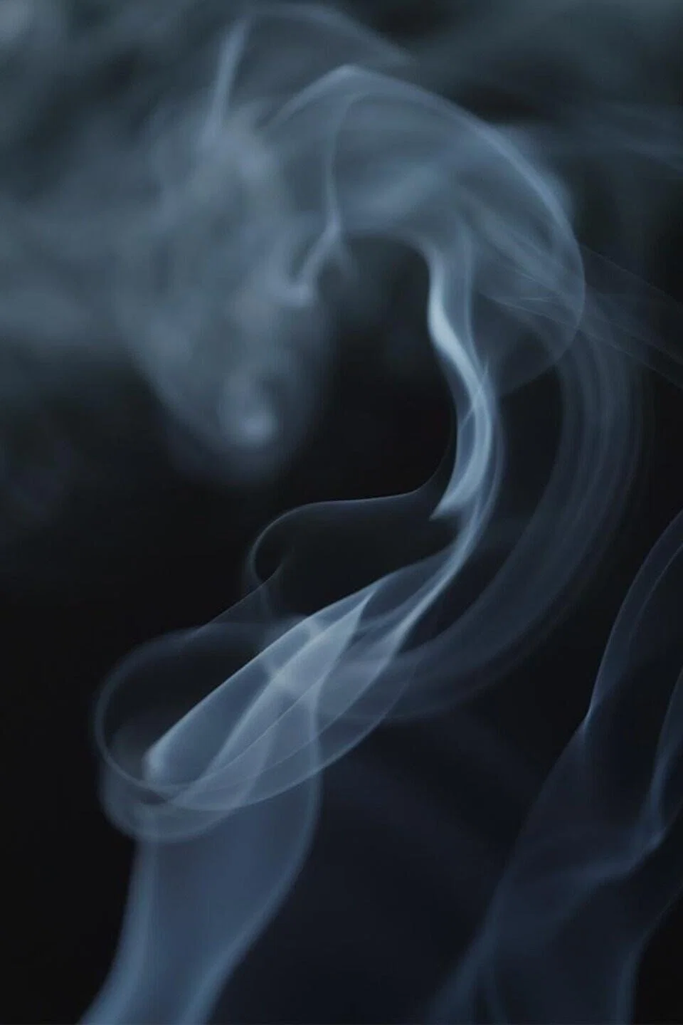 揭秘大麻