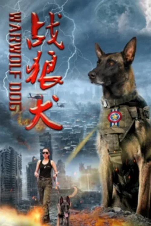 战狼犬