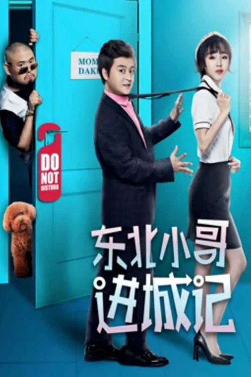 东北小哥进城记