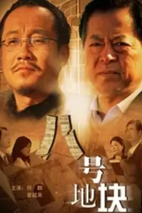 八号地块