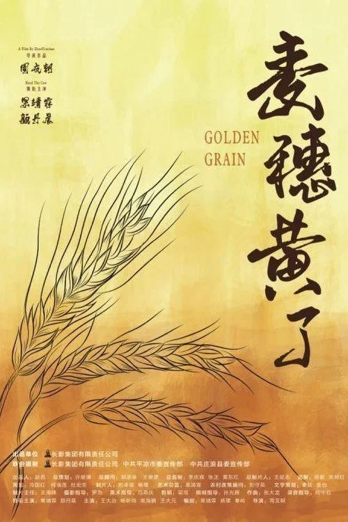 麦穗黄了