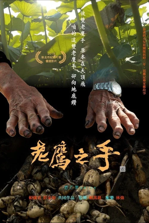 老鹰之手