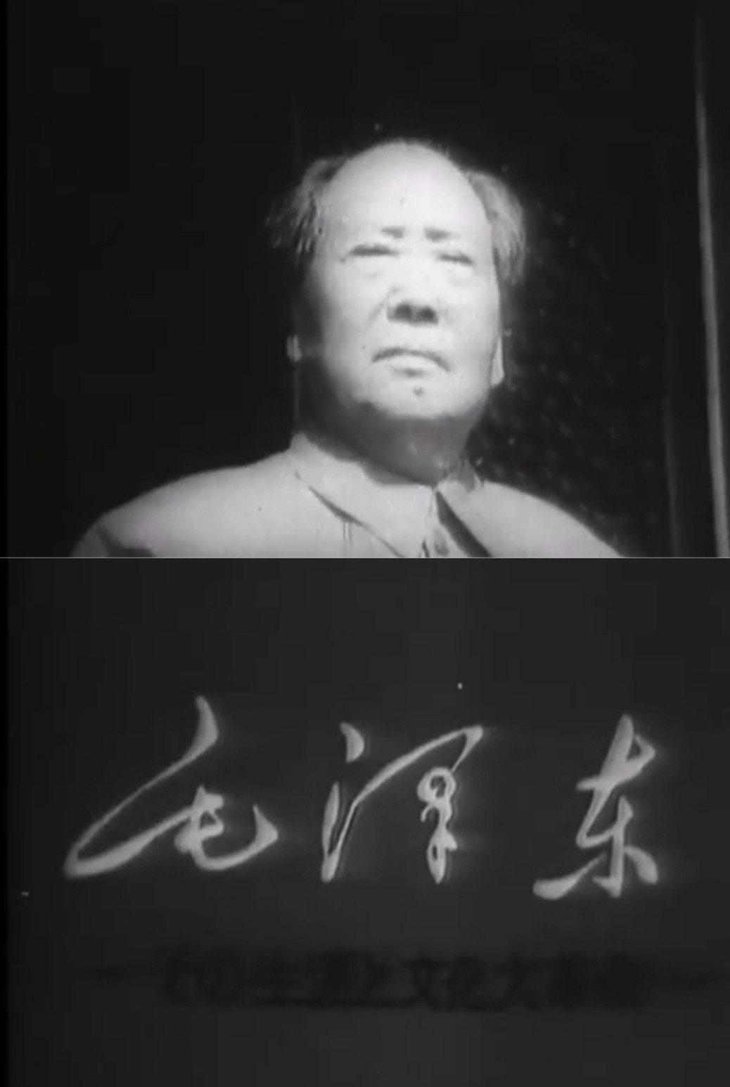 毛泽东—其生平与文化大革命