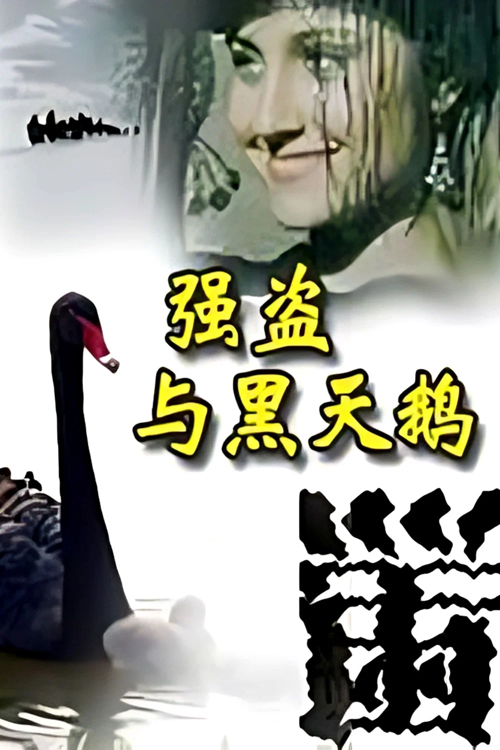 强盗与黑天鹅