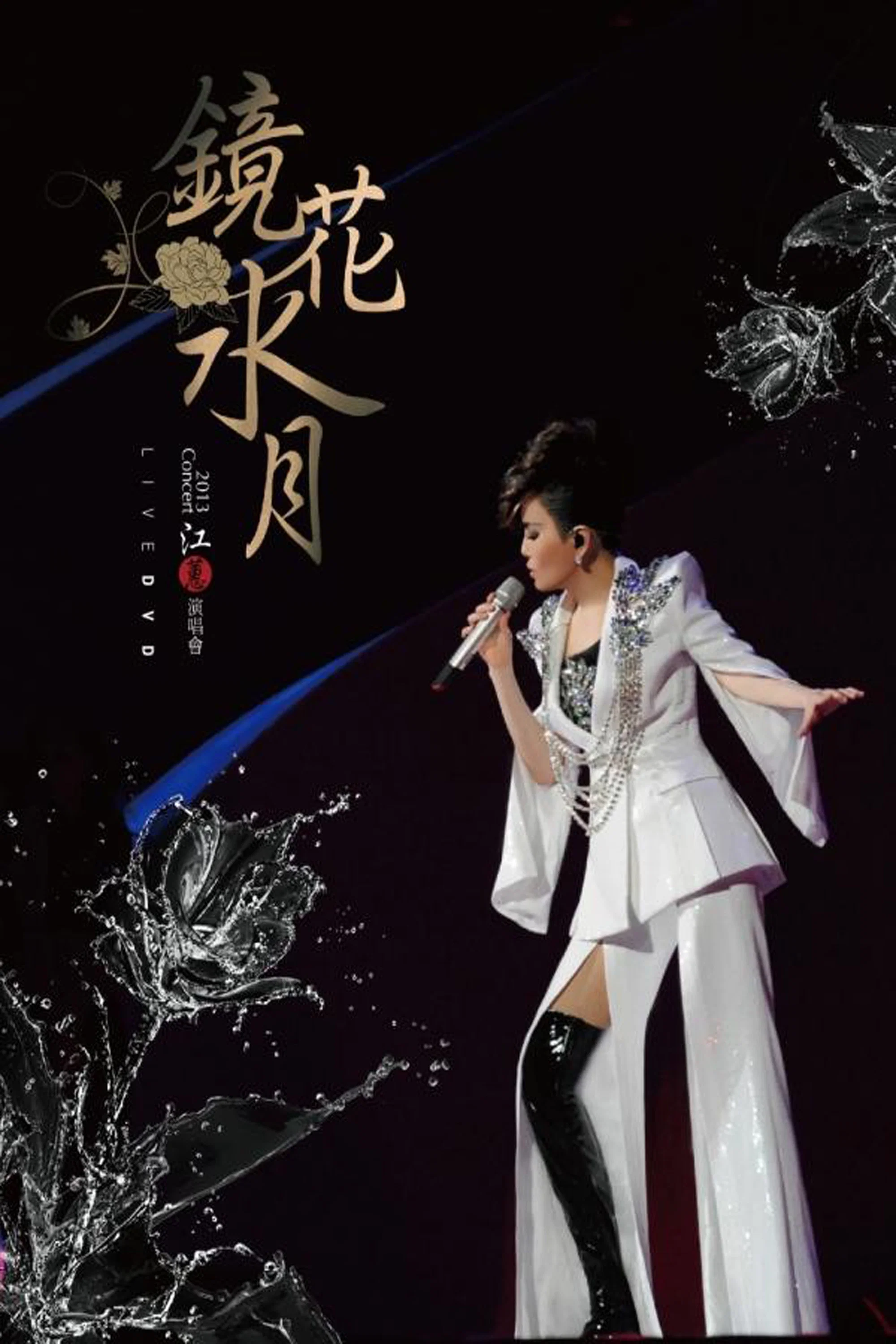 江蕙镜花水月演唱会