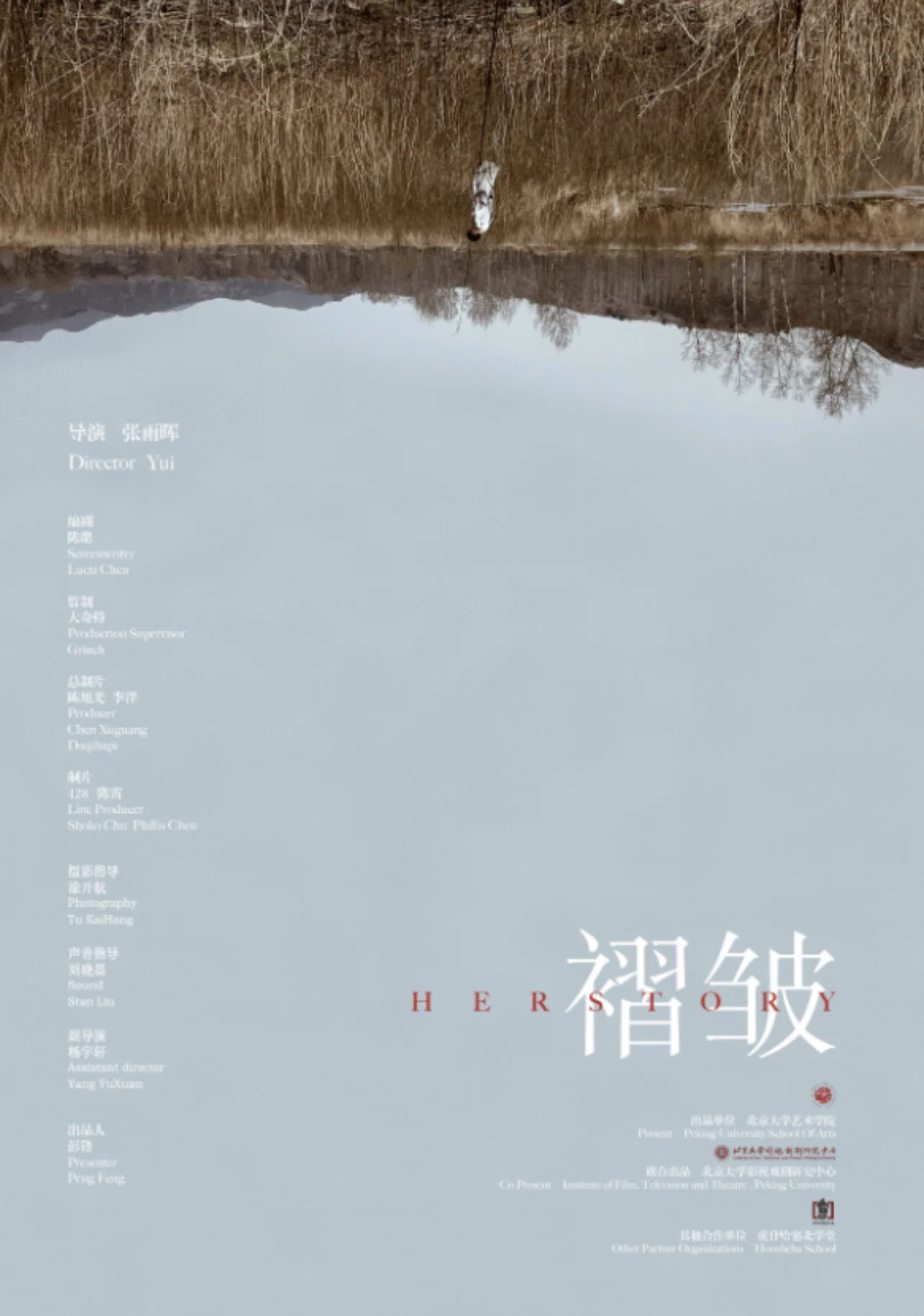 褶皱