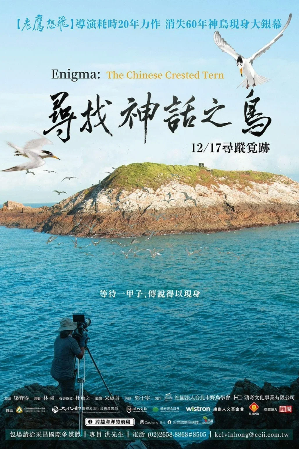 寻找神话之鸟