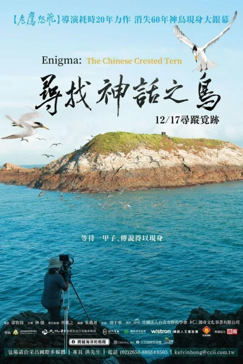 寻找神话之鸟