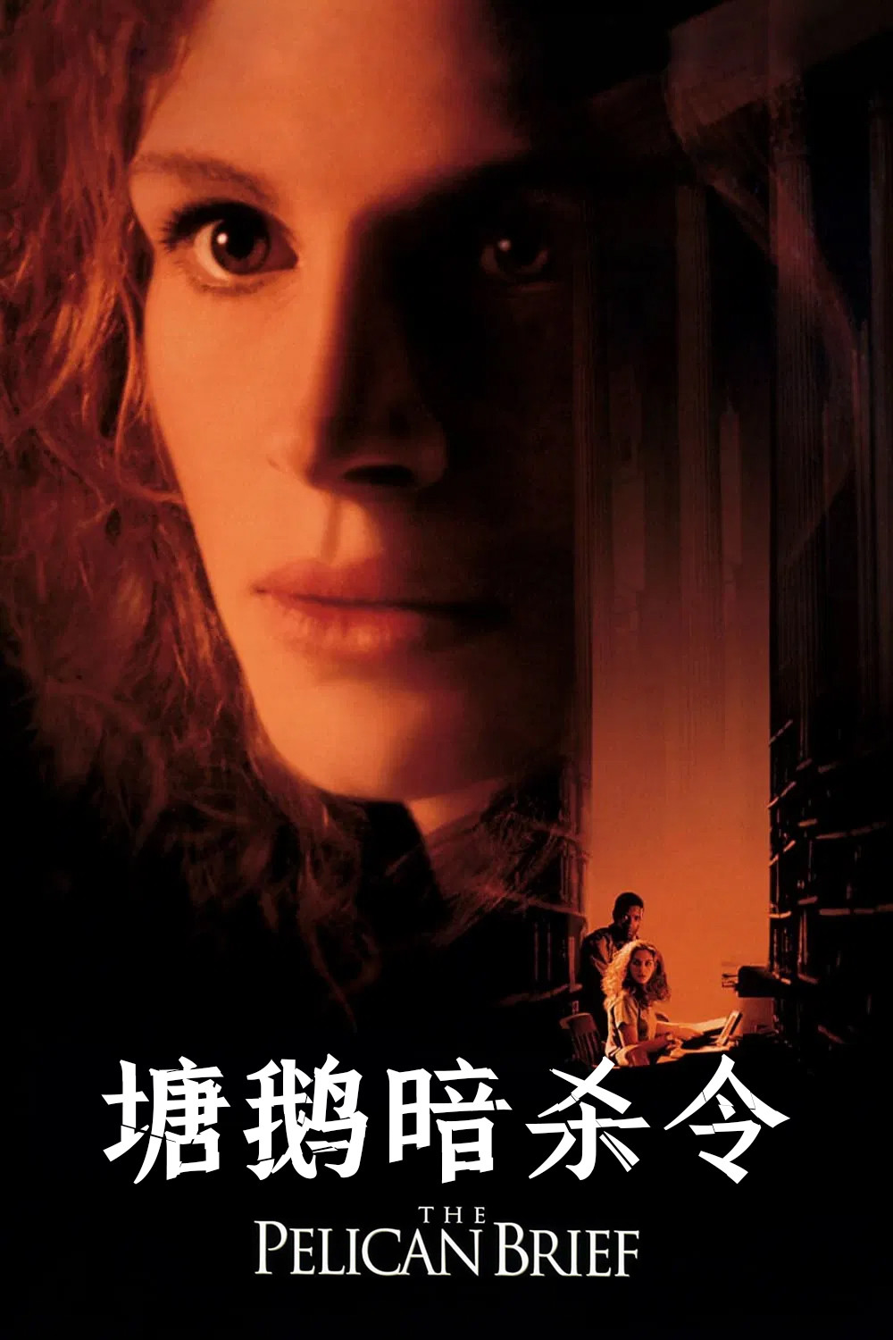 塘鹅暗杀令