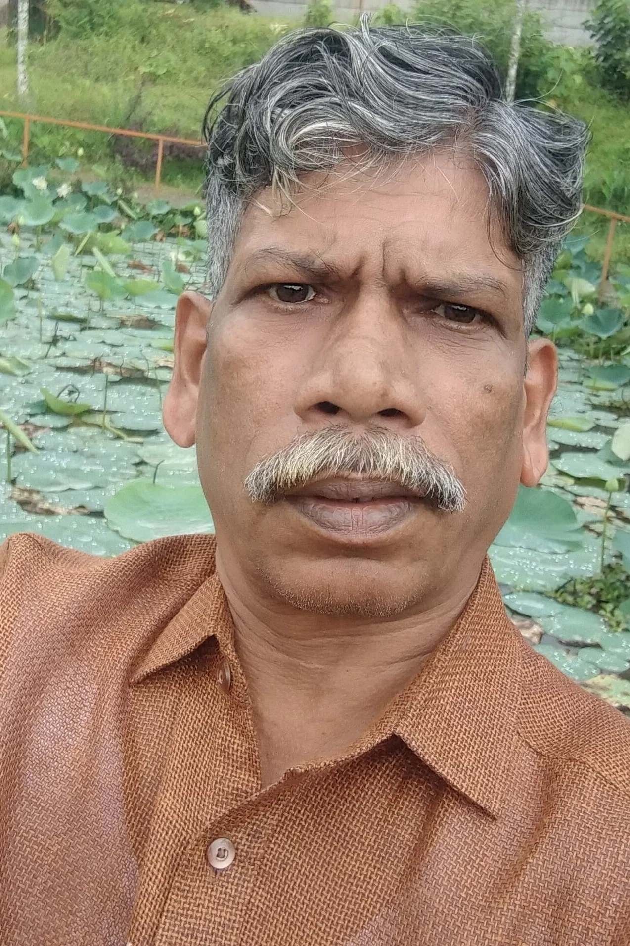 Bakkar
