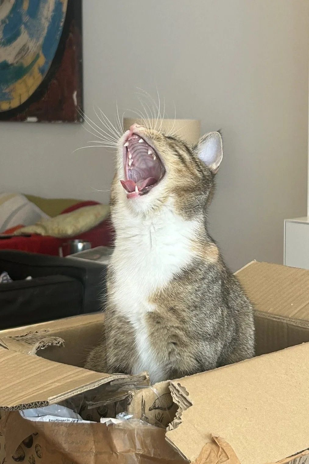 Miu