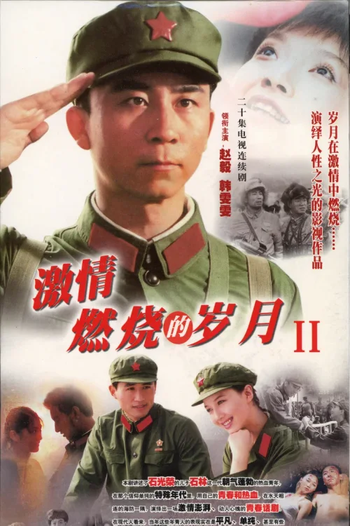 激情燃烧的岁月2