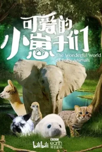 可爱的小崽子们