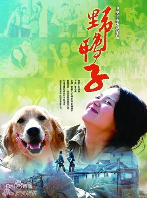 第 1 季