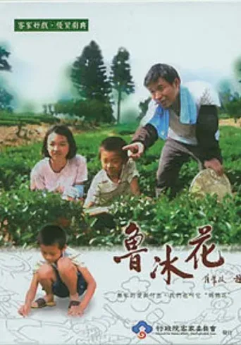 鲁冰花