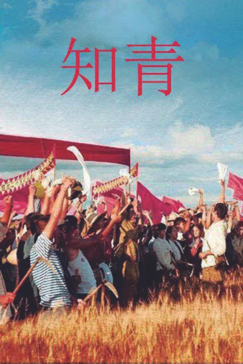 知青