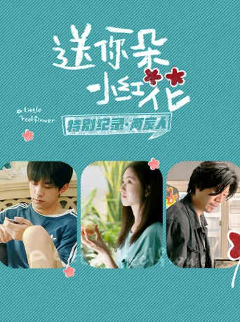 《送你一朵小红花》特别纪录