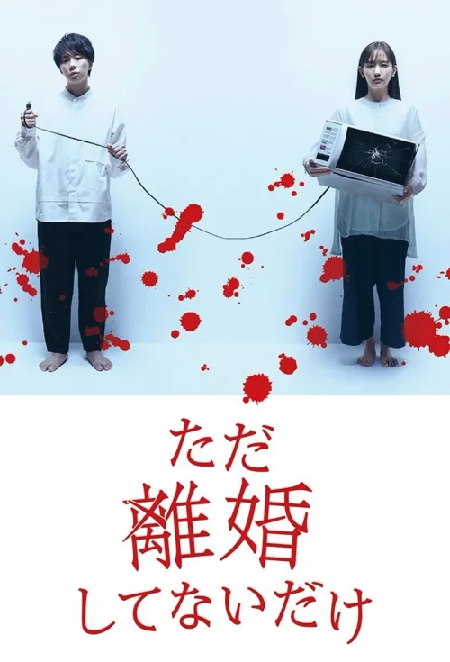 只是没离婚而已