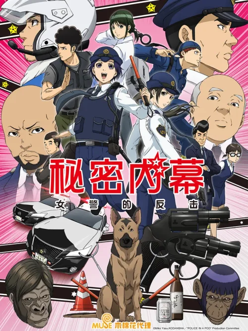 女子警察的逆袭