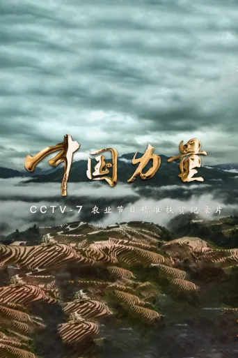 中国力量