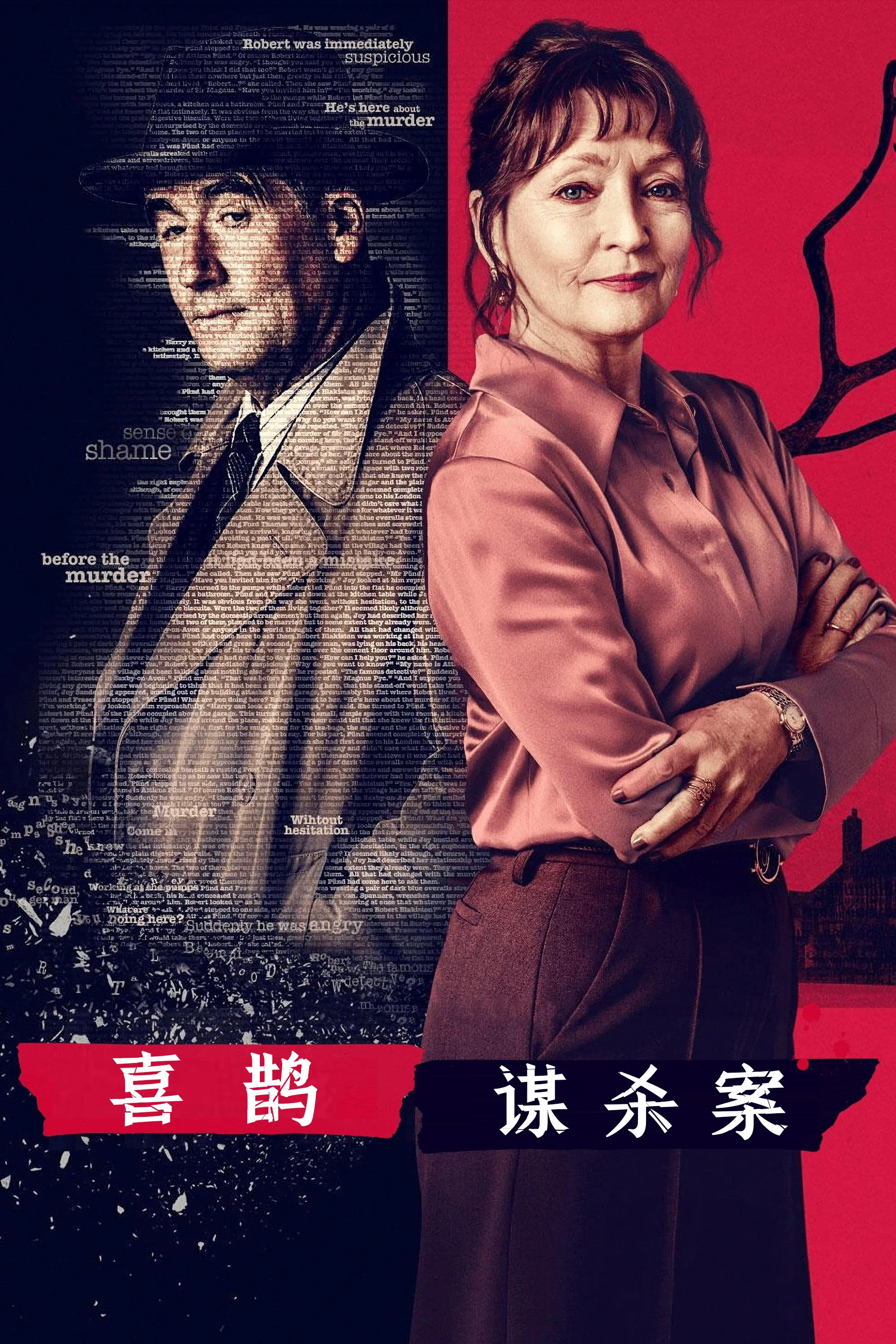 喜鹊谋杀案