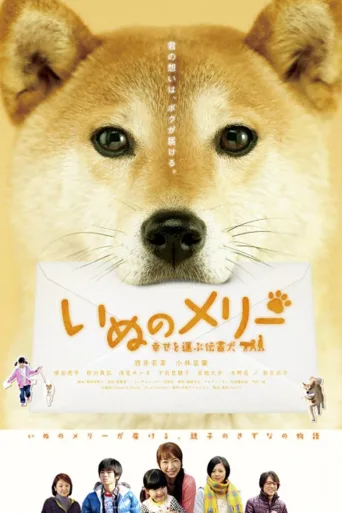 小狗Merry：承载幸福的传信犬
