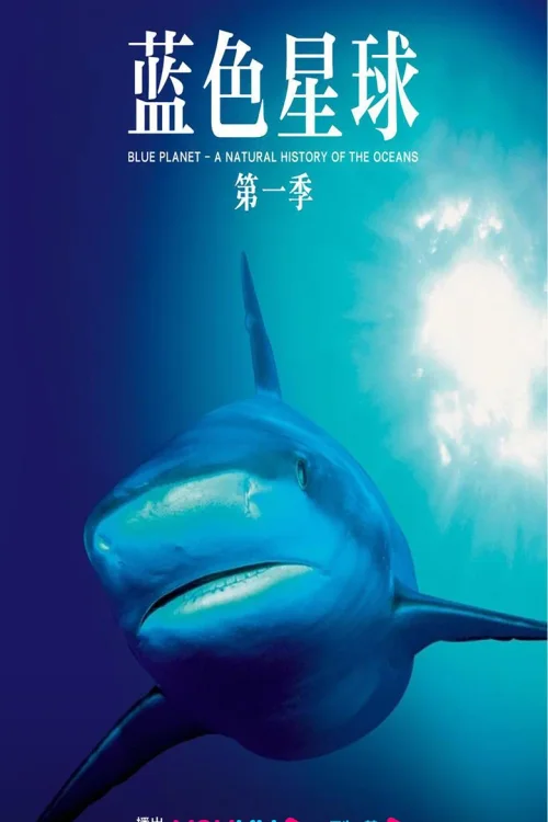 第 1 季