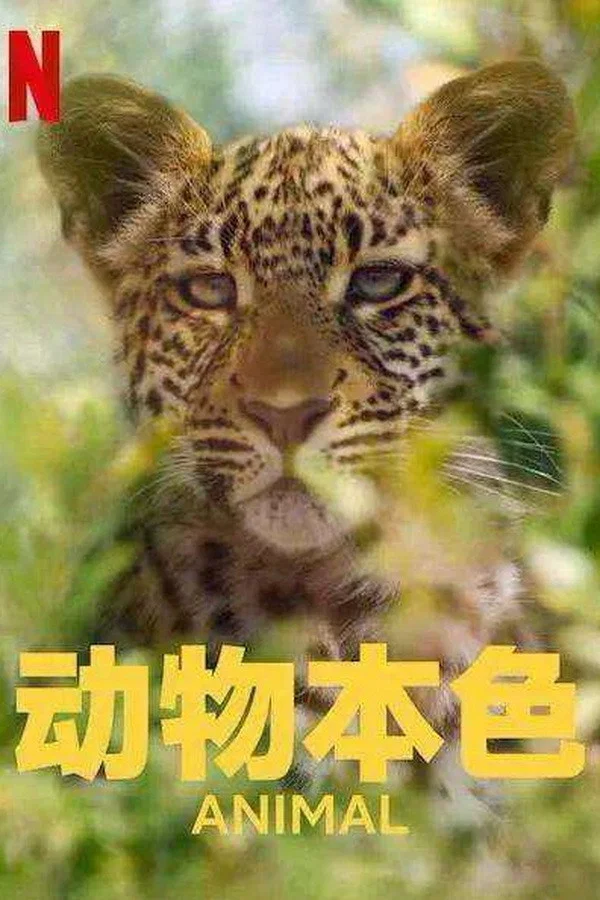 第 1 季