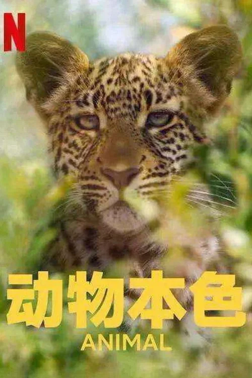 第 1 季